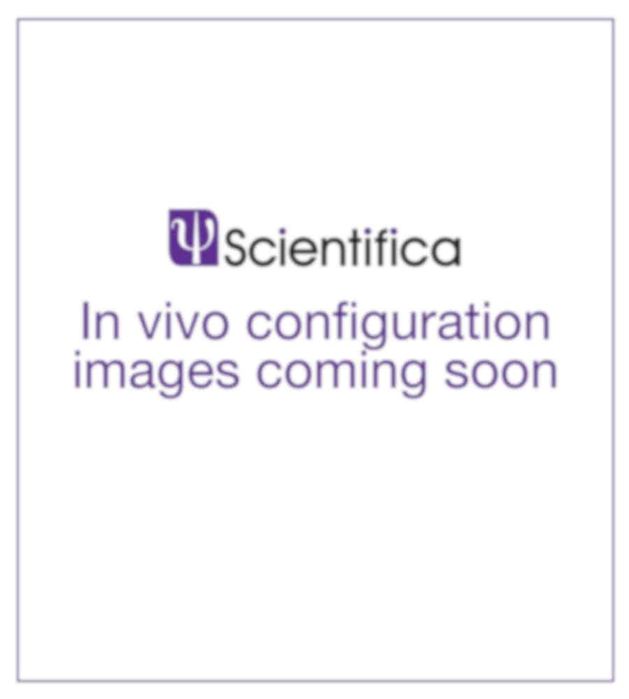Scientifica Post & Platform Sample Plate In vivo configuration