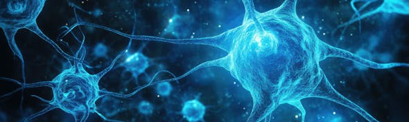 Neurons with glowing synaptic connections in a neural network