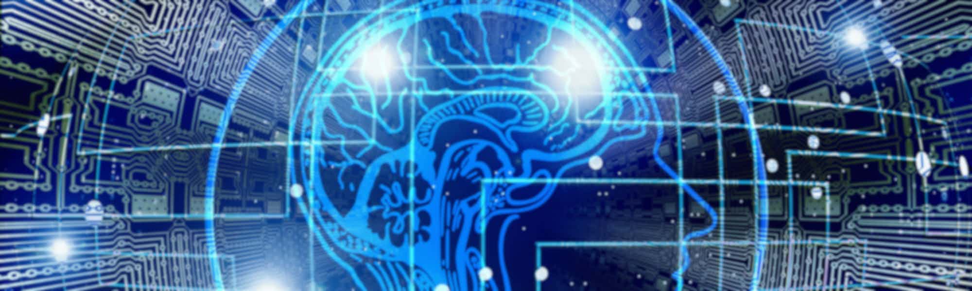Brain connections