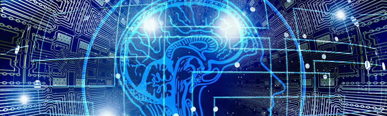 Brain connections