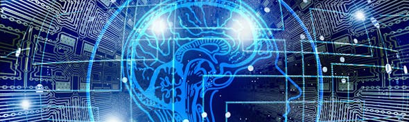 Brain connections Canva