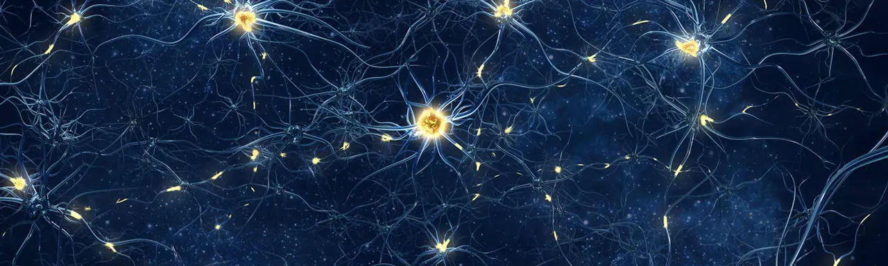 Scientifica's range of equipment and tools for fluorescence imaging.