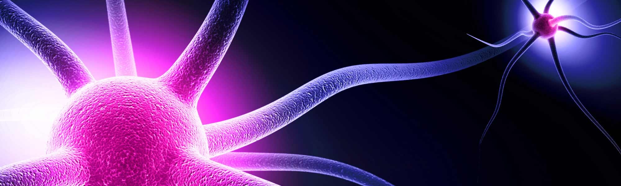 Scientifica's range of tools and equipment for optogenetics.