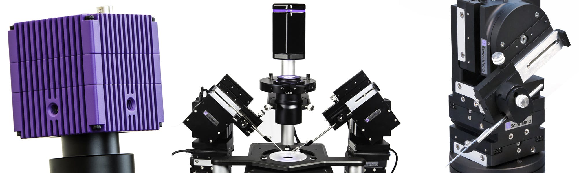 Scientifica - Electrophysiology Techniques