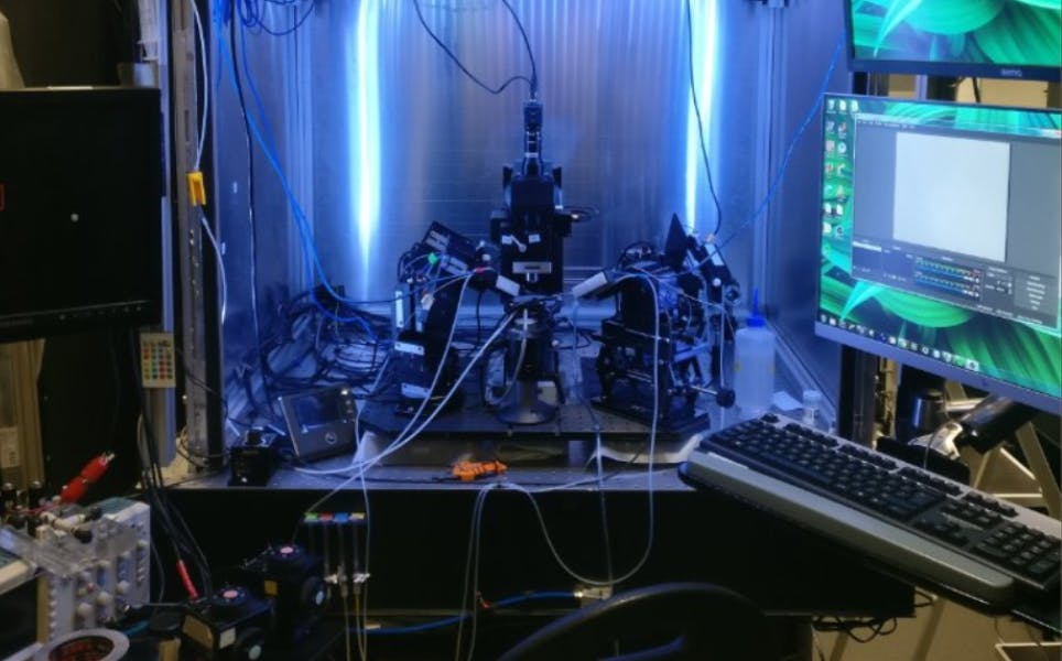 Two-Photon Targeted, Quad Whole-Cell Patch Clamping Robot. Imperial London Case Study