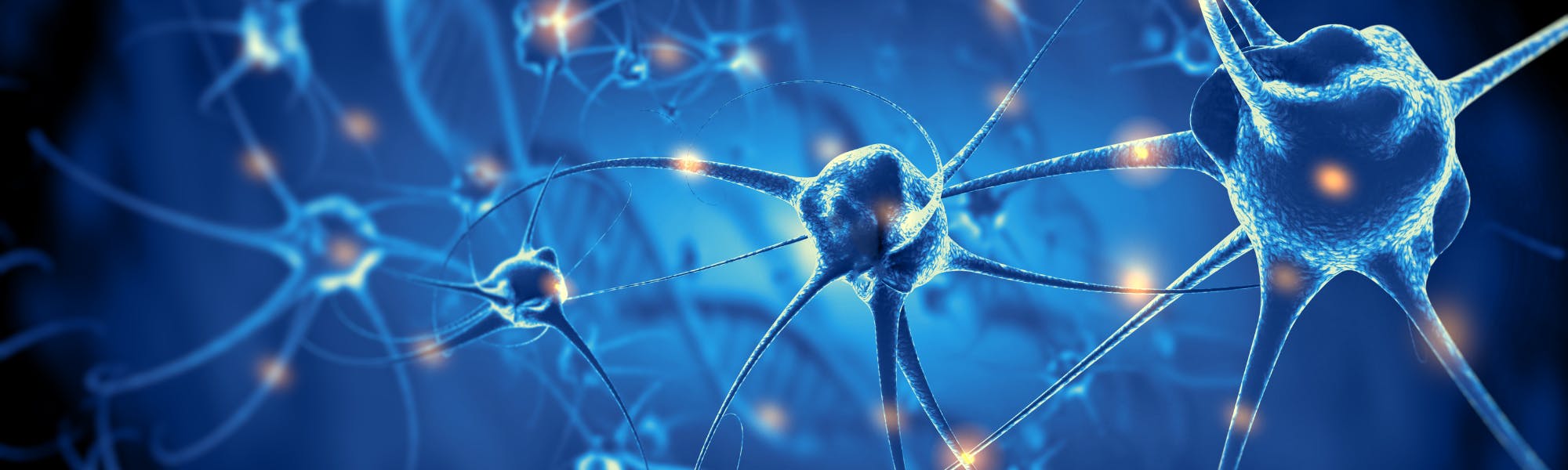 Active nerve cells image