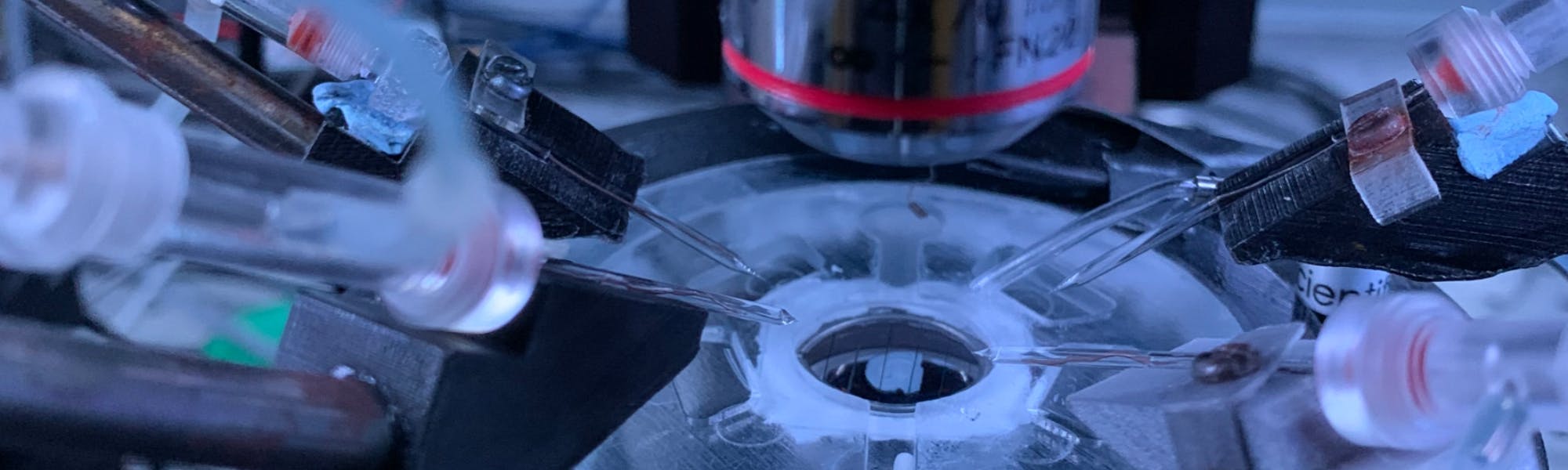 Two-Photon Targeted, Quad Whole-Cell Patch Clamping Robot