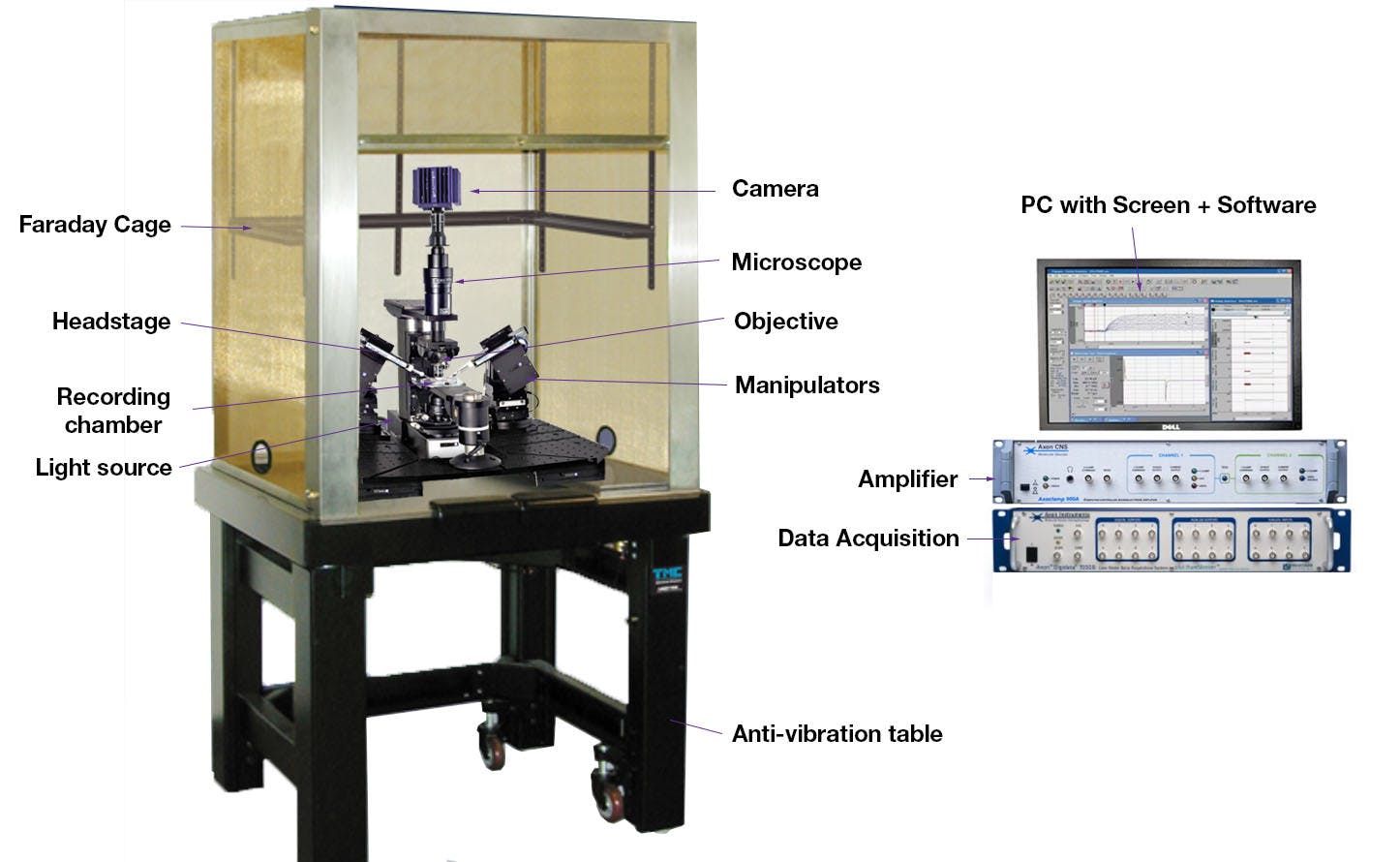 Key elements of an electrophysiology rig set up