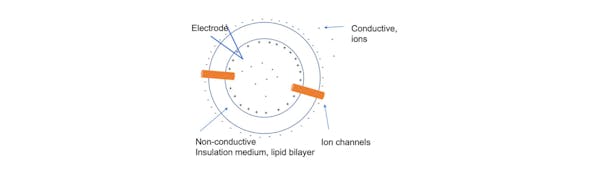 Passive membrane