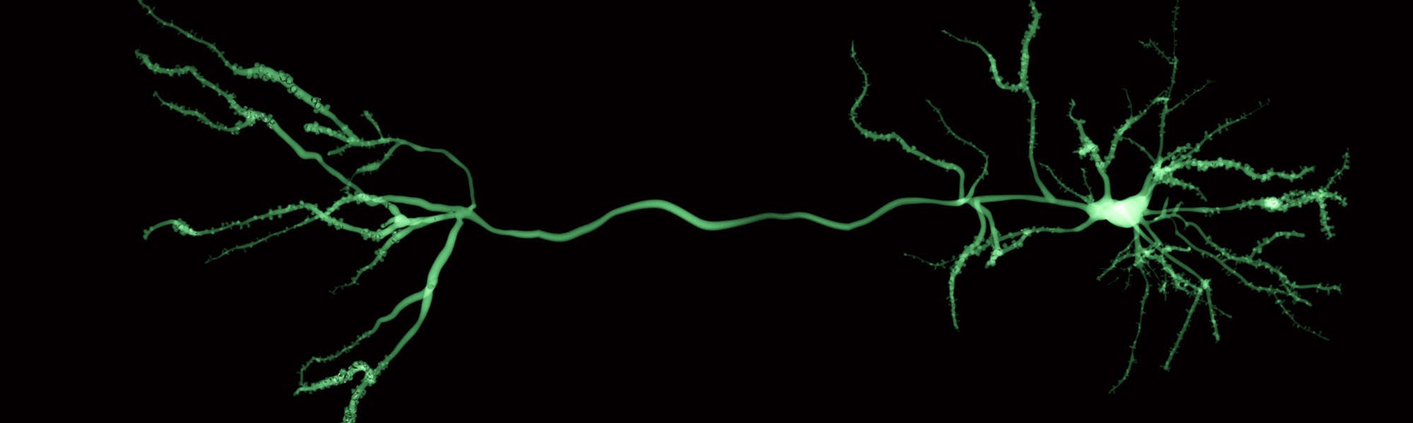 University of Oxford using Scientifica… | Scientifica