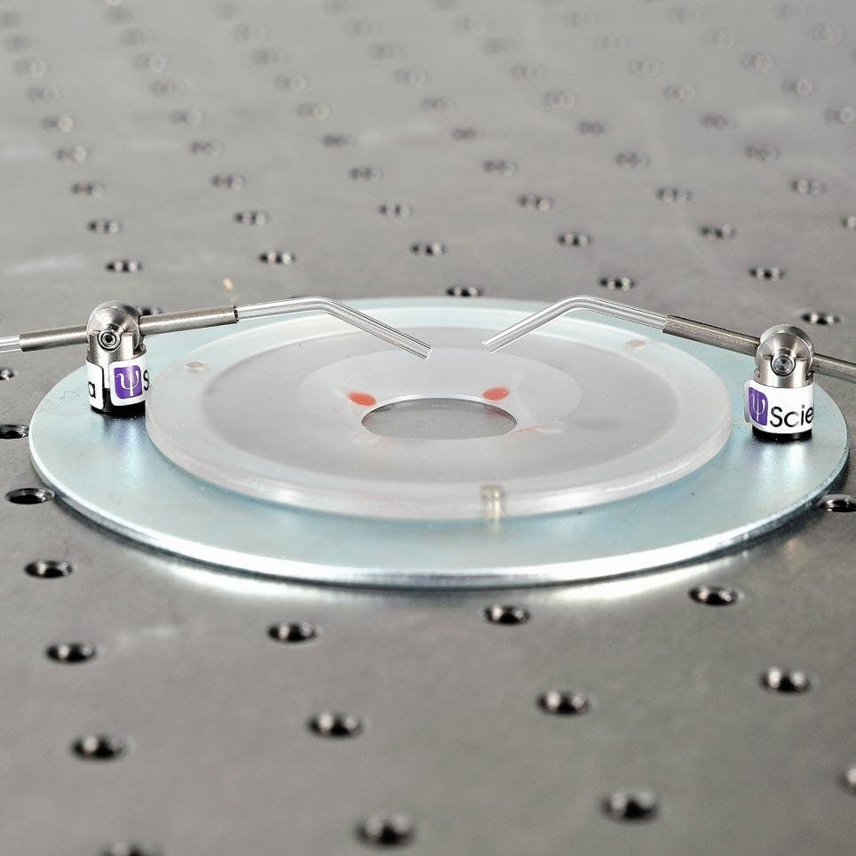 Scientifica Slice Recording Chamber kit
