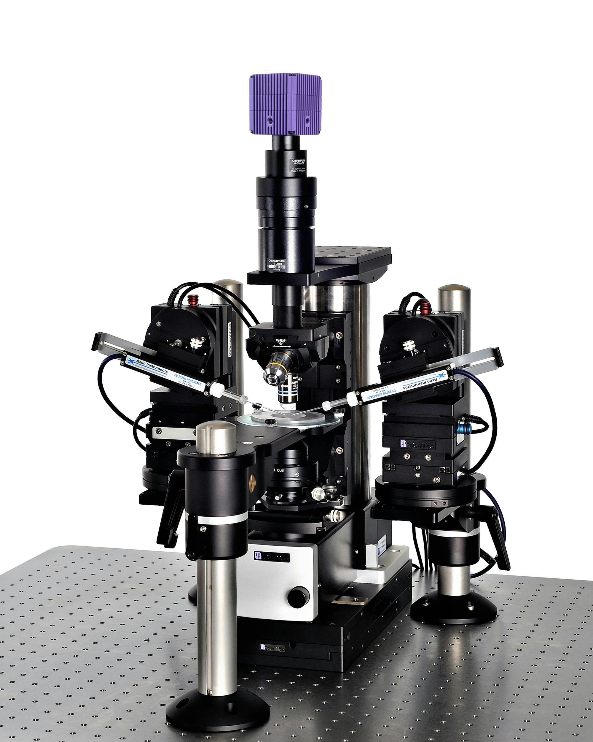 Eight environmental factors to consider when setting up… | Scientifica