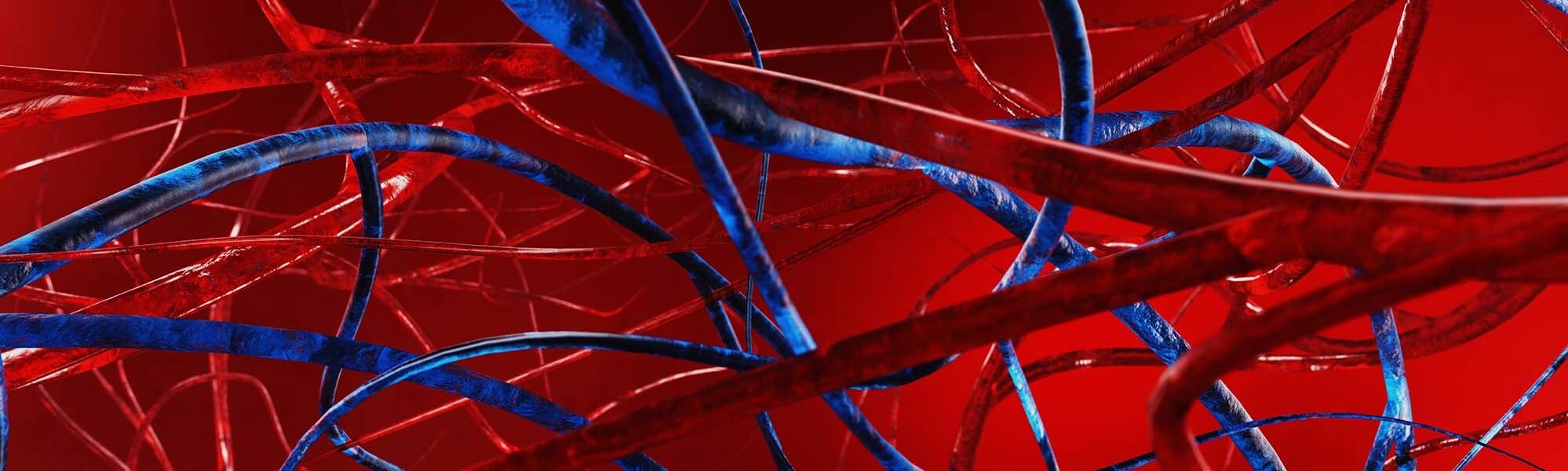 Scientifica will be attending the Northern Cardiovascular Research Group Meeting 2026